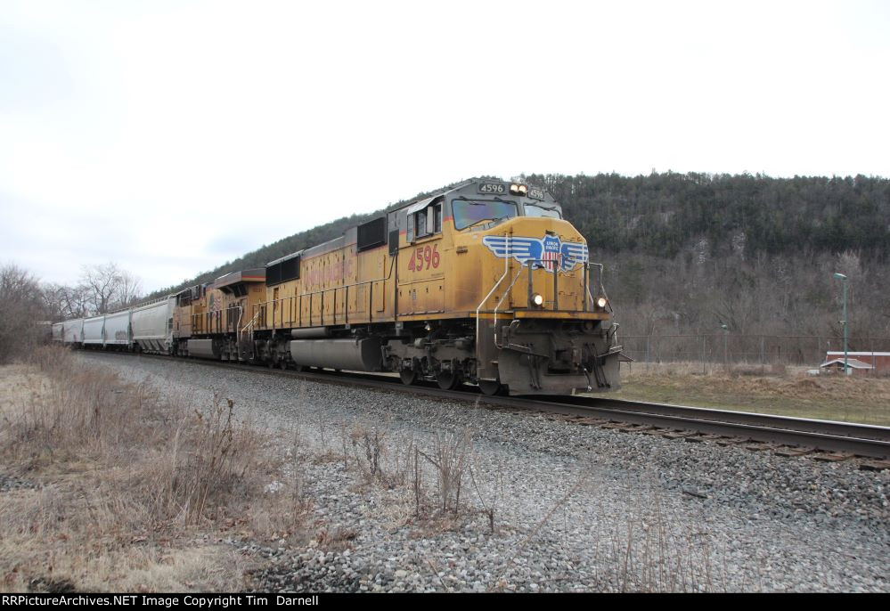 UP 4596, 8221 on NS 315